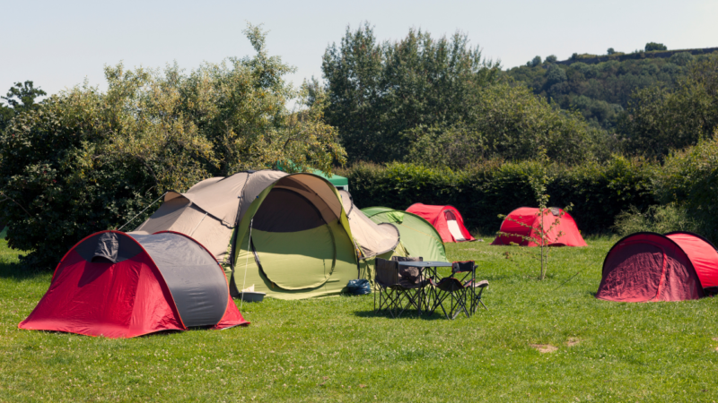Kamp çadırı seçimi yaparken hangi amaçla ve hangi alanda kamp yapacağınızı dikkate almalısınız