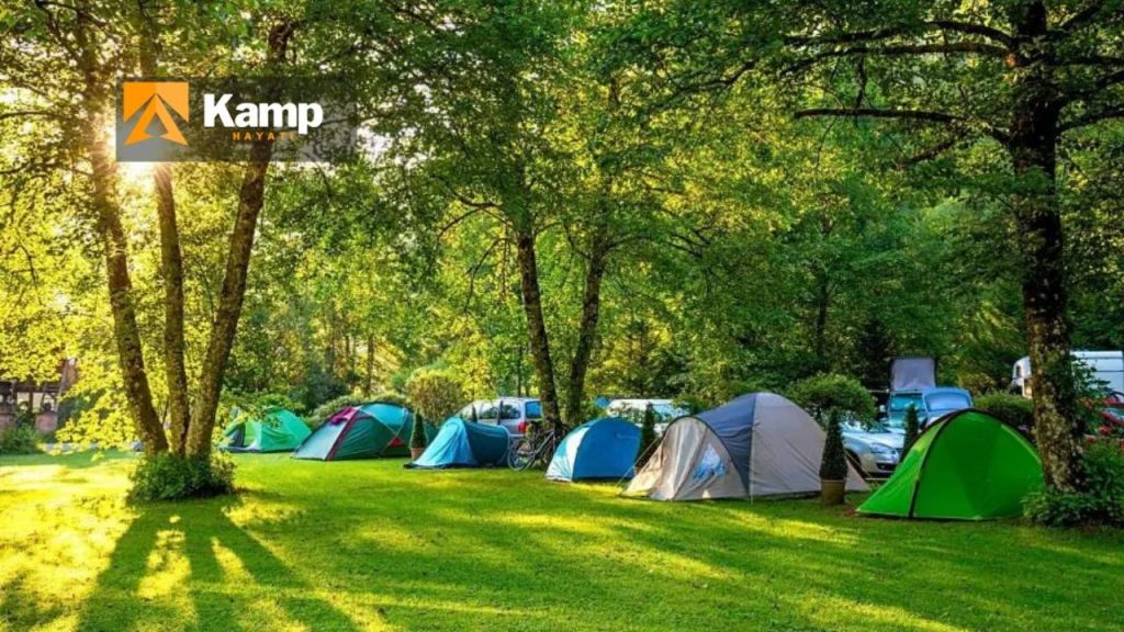 i̇stanbul kamp alanlari polonezkoy kamp alani - İstanbul kamp alanları - İstanbul'da kamp yapılacak 5 popüler mekan